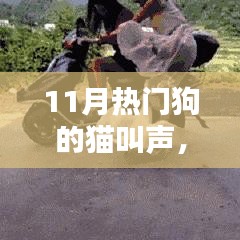 十一月热门犬类猫叫声大解密，萌宠之声在小红书风靡