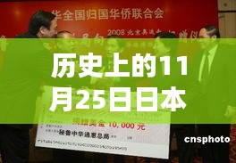 历史上的11月25日日本捐赠行为深度探究，探究捐赠行为与某某观点探析