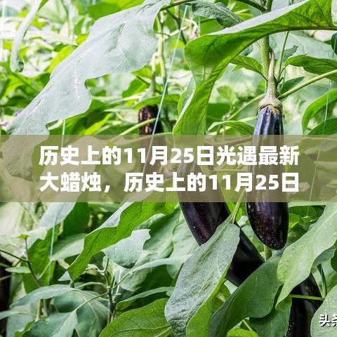 历史上的11月25日，光遇最新大蜡烛深度评测与探索之旅