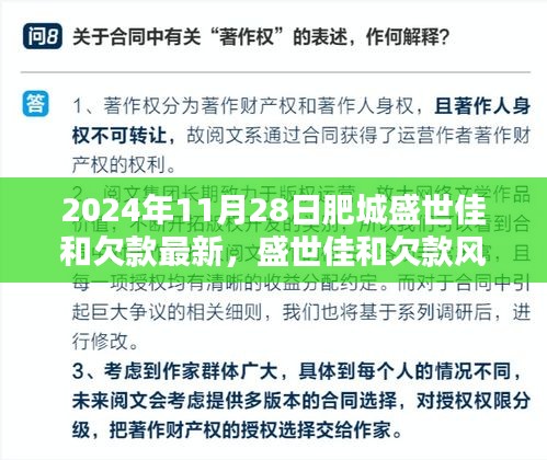 盛世佳和欠款风波揭秘，真相与启示