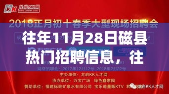 往年11月28日磁县热门招聘信息深度解析，特性、体验、竞争态势及用户群体分析