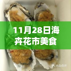 11月28日海卉花市美食指南，从初学者到进阶用户的烹饪探索之旅