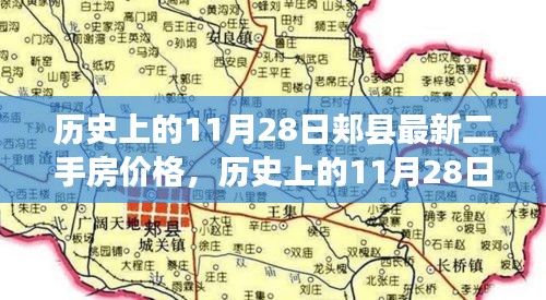 历史上的11月28日郏县二手房市场动态与价格解析，最新市场情报及分析概览