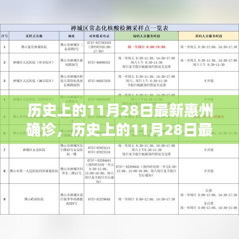 历史上的11月28日惠州最新确诊事件深度解析与回顾