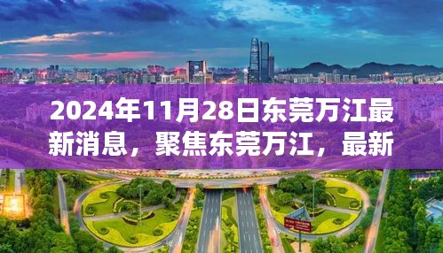 东莞万江最新消息聚焦，多元观点探讨下的最新动态（2024年11月28日）