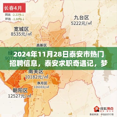 泰安求职奇遇记，梦想与友情的邂逅——2024年泰安市热门招聘信息汇总