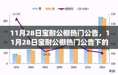 从某某视角看宝耐公棚热门公告，影响深远