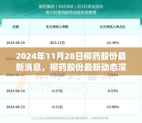 柳药股份最新动态深度解析，把握机遇与挑战，洞悉未来发展趋势（2024年11月28日）