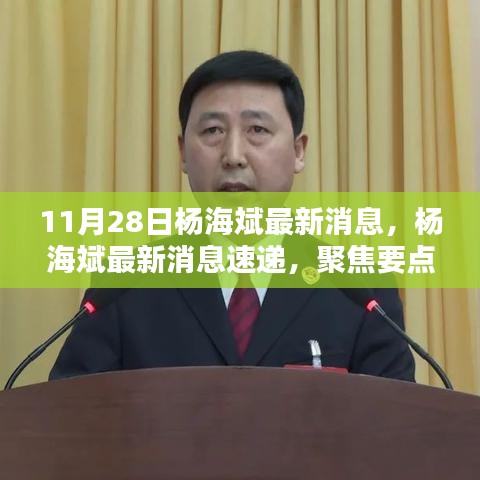 杨海斌最新消息聚焦，深度解析与速递