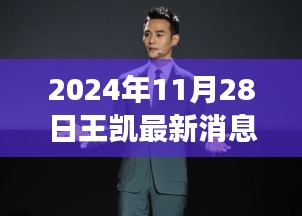 2024年11月28日王凯最新消息，王凯演艺之路新动向，2024年11月28日的视角