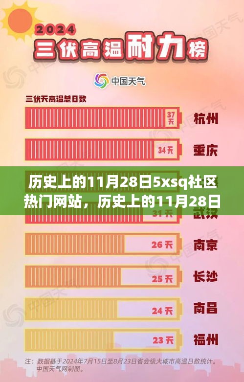 历史上的11月28日，5xsq社区网站热门事件与全面评测回顾