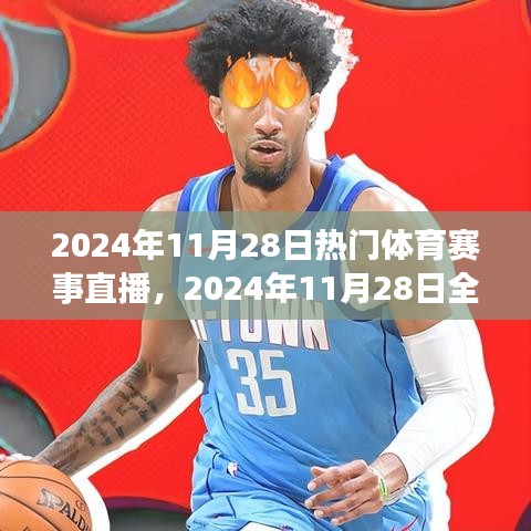 2024年11月28日全球热门体育赛事直播盛宴开启