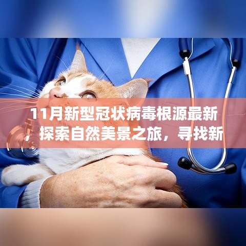 探索自然美景之旅，探寻新冠病毒根源下的宁静与平和