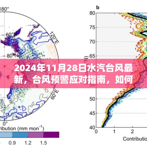 2024年水汽台风最新预警，应对指南与准备建议（初学者与进阶用户必备）