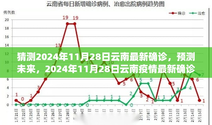 2024年11月28日云南疫情最新确诊动向分析与预测