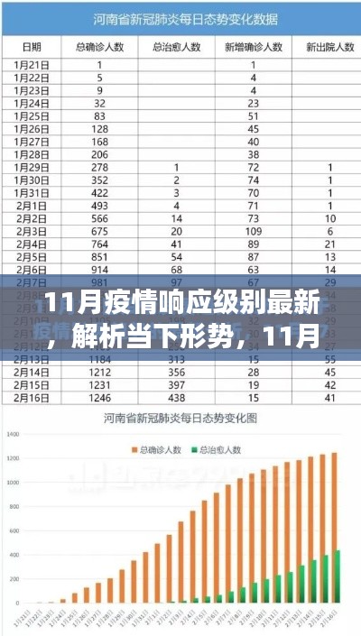 11月疫情响应级别最新解析，形势分析与最新观点