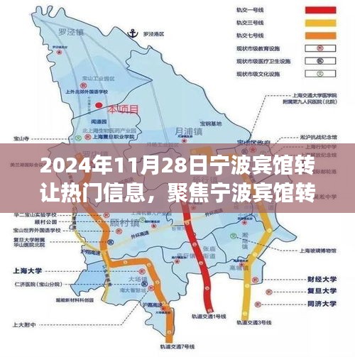 宁波宾馆转让市场最新动态，聚焦热门信息，探寻最新市场动态（2024年11月28日）