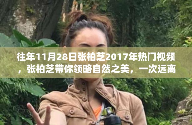 张柏芝带你领略自然之美，远离尘嚣的心灵之旅视频回顾 2017年热门片段欣赏