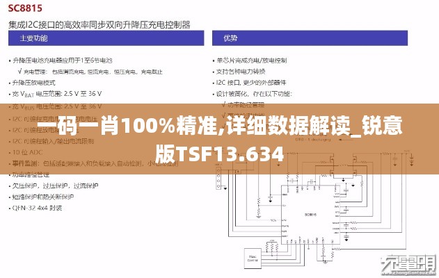 一码一肖100%精准,详细数据解读_锐意版TSF13.634