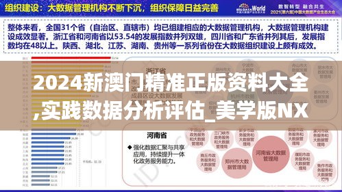 2024新澳门精准正版资料大全,实践数据分析评估_美学版NXL82.828