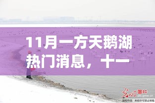 天鹅湖畔的十一月热门焦点揭秘，背景、事件与地位