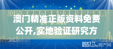 澳门精准正版资料免费公开,实地验证研究方案_明亮版DPA3.409