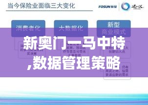 新奥门一马中特,数据管理策略_冷静版ZII46.734