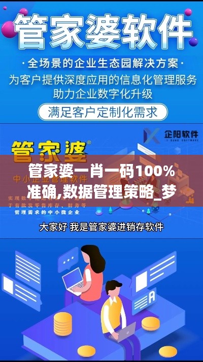 管家婆一肖一码100%准确,数据管理策略_梦想版WIZ62.779