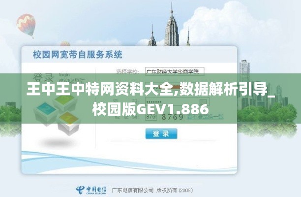 王中王中特网资料大全,数据解析引导_校园版GEV1.886