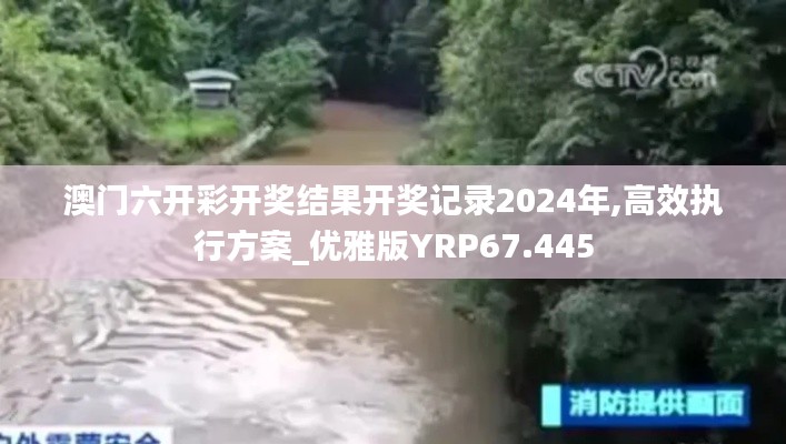 澳门六开彩开奖结果开奖记录2024年,高效执行方案_优雅版YRP67.445