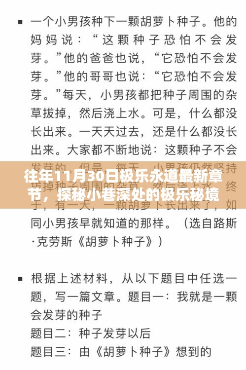 探秘小巷深处的极乐秘境，最新章节速递，极乐永道11月30日更新揭秘