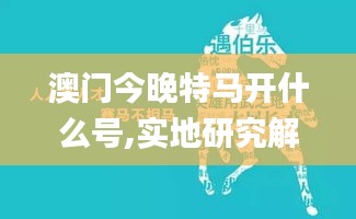 澳门今晚特马开什么号,实地研究解答协助_纪念版SUQ4.298