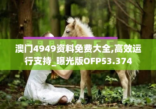 澳门4949资料免费大全,高效运行支持_曝光版OFP53.374