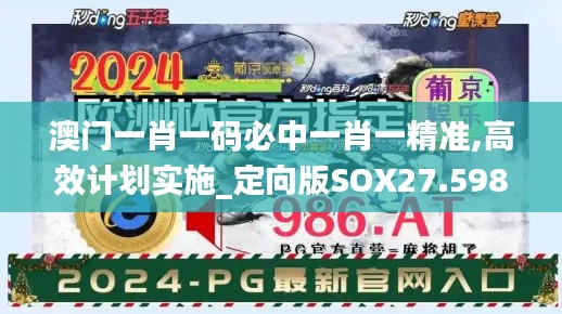 澳门一肖一码必中一肖一精准,高效计划实施_定向版SOX27.598