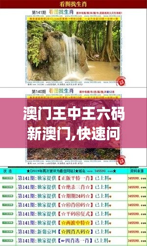 澳门王中王六码新澳门,快速问题处理_趣味版FVA61.658