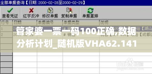 管家婆一票一码100正确,数据分析计划_随机版VHA62.141