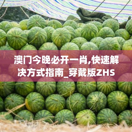 澳门今晚必开一肖,快速解决方式指南_穿戴版ZHS45.417