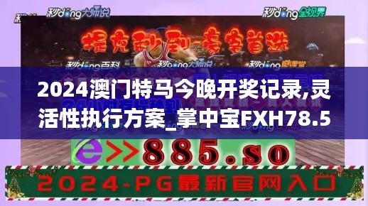 2024澳门特马今晚开奖记录,灵活性执行方案_掌中宝FXH78.530