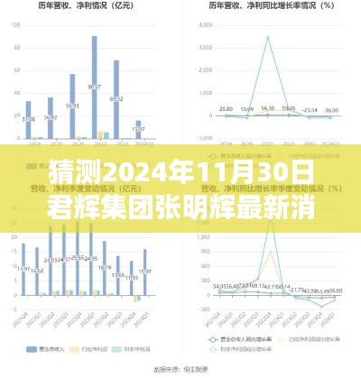 君辉集团张明辉最新消息揭秘，如何获取与解读步骤指南