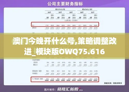 澳门今晚开什么号,策略调整改进_模块版OWQ75.616