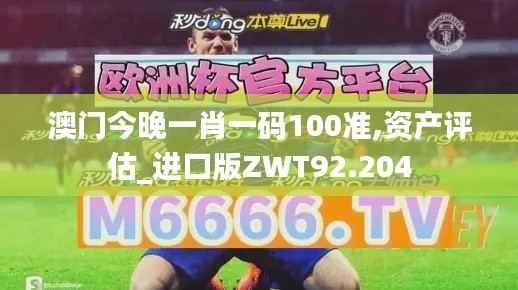 澳门今晚一肖一码100准,资产评估_进口版ZWT92.204