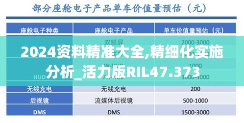 2024资料精准大全,精细化实施分析_活力版RIL47.373