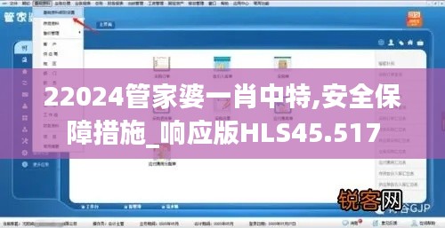 22024管家婆一肖中特,安全保障措施_响应版HLS45.517