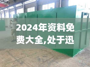 2024年资料免费大全,处于迅速响应执行_桌面版PIW28.485