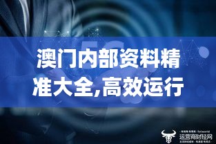 澳门内部资料精准大全,高效运行支持_颠覆版USI65.729