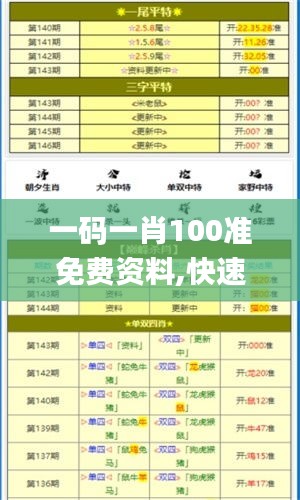 一码一肖100准免费资料,快速处理计划_外观版ENJ59.388