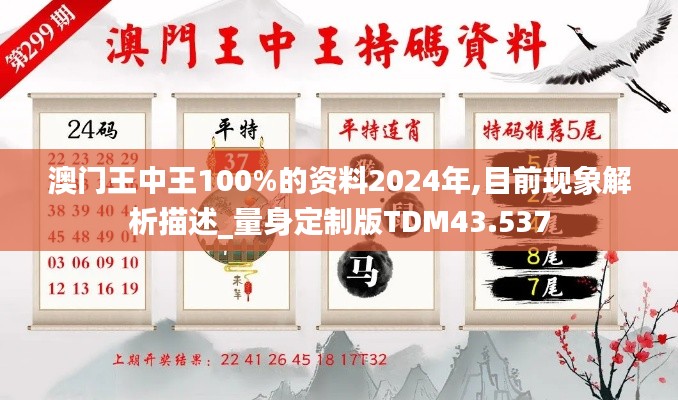 澳门王中王100%的资料2024年,目前现象解析描述_量身定制版TDM43.537