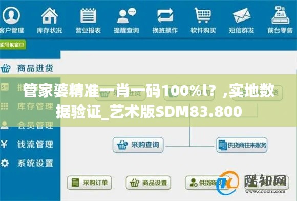 管家婆精准一肖一码100%l？,实地数据验证_艺术版SDM83.800