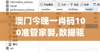 澳门今晚一肖码100准管家娶,数据驱动决策_SE版XPQ43.516