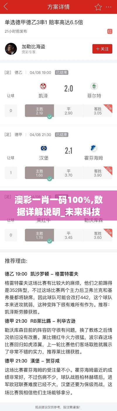 澳彩一肖一码100%,数据详解说明_未来科技版NIP5.241